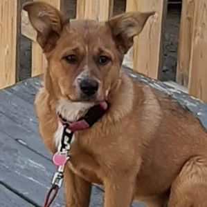 Meet your Posher, Jamie